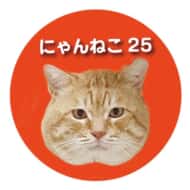 にゃんねこ25