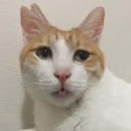 ひろせはぁちゃん