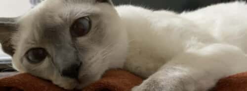 raganore10@gmail.com