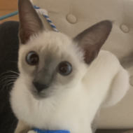 raganore10@gmail.com