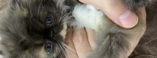 taka11223344k@gmail.com